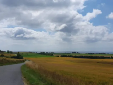 Charming Fisherman's Cottage - By Traum Ferienwohnungen Hotels in Borre