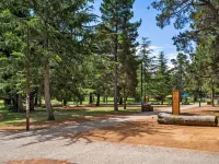 Central Braddon Retreat with Balcony & Pool Access