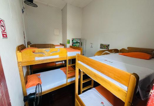 AT 아마존 백패커