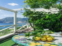 Calante Luna - Pet friendly