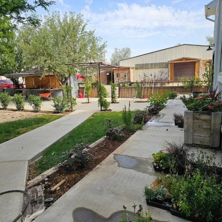 The Chicken Coop