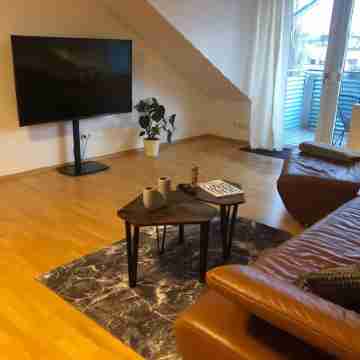 Rafael Bermüller Others