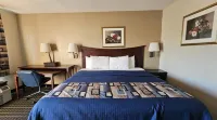 Americas Best Value Inn Mount Vernon