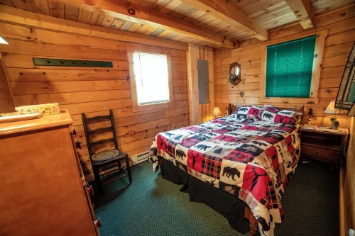 Secluded Woodland Retreat Surrounded by Forest Views & Wildlife