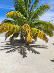 Aitutaki Escape - ติดทะเล