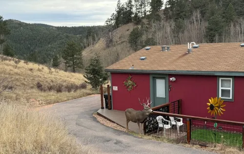 Cozy cabin. Quiet valley. Hot tub & views. Close to everything CO has to offer.