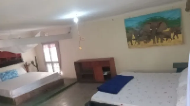 Game Changers Lodge - Safari