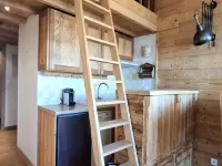 Apartment in Alps near Ski Lifts