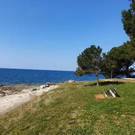 Family Bungalow Pineta