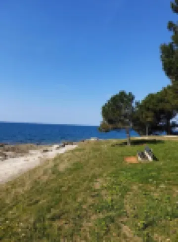 Family Bungalow Pineta