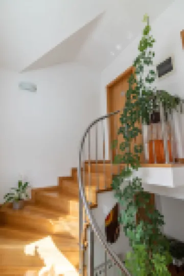 Apartments and Room Robert Hotels in 