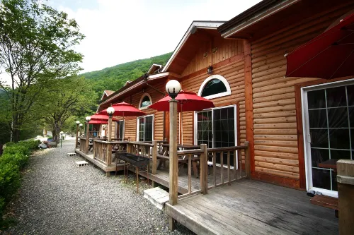 Yangsan Elysia Pension - Kitchens
