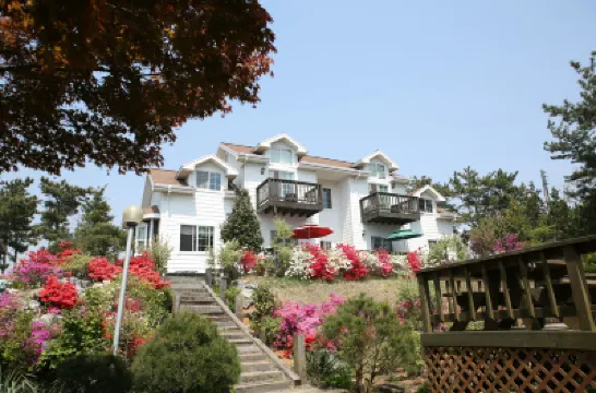 Taean Blueberry Pension Hoteles en 