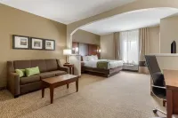 Comfort Suites Johnson City Near University - 2-Star