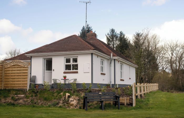 Shirley's House