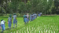 Farm Shaala - Wifi