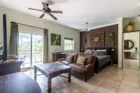 8203 - King, Ocean Dream, Cabarete!