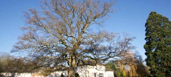 Wrexham Llyndir Hotel by Belvilla Hotels in Wrexham