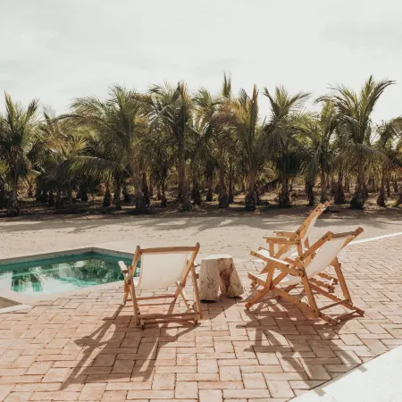 Proyecto Palmita