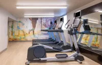 Embassy Suites by Hilton Bloomington Edina - Phòng tập thể hình