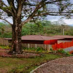 Tentrem Bungalow - Homestays