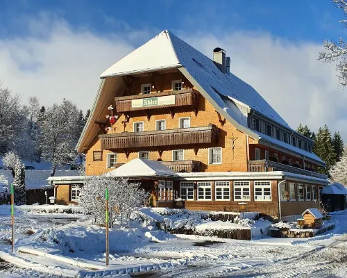 Hotel Adler Bärental Hotels in Feldberg