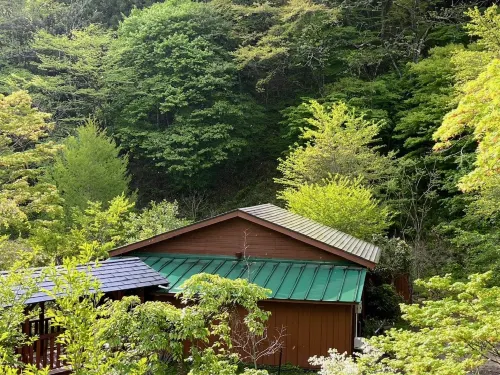 Shinobu Hot Spring - Seishu - Bintang 2