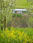 Newly Renovated Former Cider House with outdoor covered patio and gas grill. - Homestays