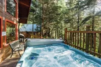 ชาเลต์สไตล์ลอดจ์พร้อมอ่างน้ำร้อนใกล้ Alyeska - บังกะโล