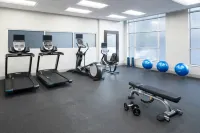 Hampton Inn & Suites Memphis at Beale Street - Fitnessstudio