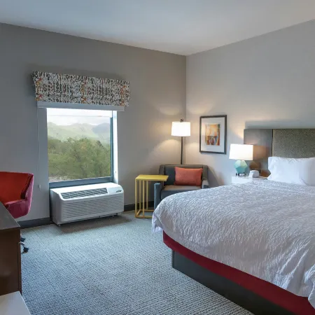 Hampton Inn by Hilton Black Mountain