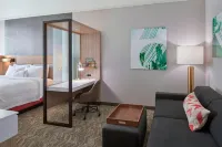 SpringHill Suites East Lansing University Area - С бассейном