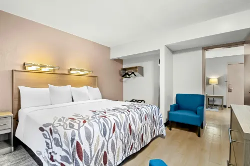Red Roof Inn Myrtle Beach Hotel - Market Commons - Pet friendly