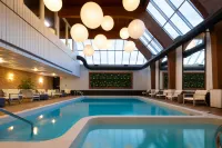 Delamar Traverse City - Pools