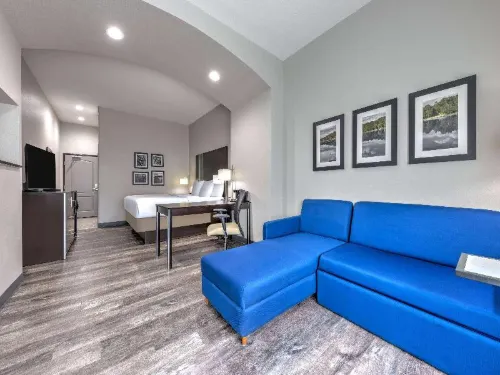 La Quinta Inn & Suites by Wyndham Tyler - University Area - 2つ星
