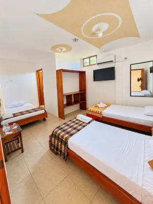 Hostal El Pinzón - 青年旅舍