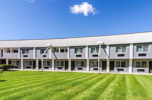 퀄리티 인 버펄로 - 무료 와이파이