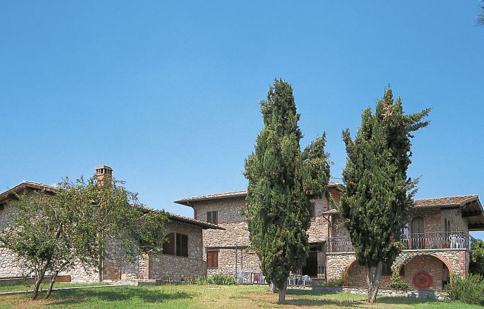 Vecchio Cigliere (Ter106)
