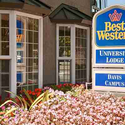 Best Western University Lodge Hotel Exterior