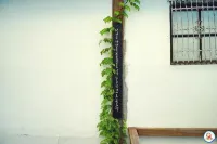 Ulsan Suyeon's Hanok Stay