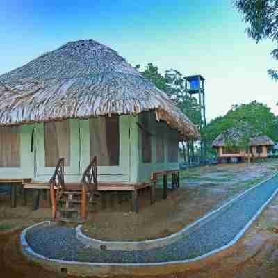 Yala Lake View Cabanas Hotel Exterior