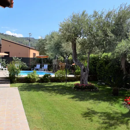 Olivella