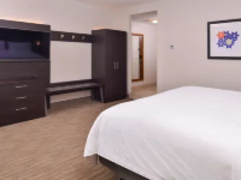 ホリデイ イン エクスプレス & スイーツ モール オブ アメリカ - MSP エアポート by IHG ブルーミントンのホテル