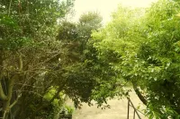 Pyoseon Mansion A101