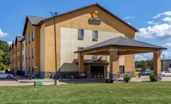 Comfort Inn & Suites Carbondale University Area