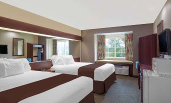 Microtel Inn & Suites by Wyndham Meridian