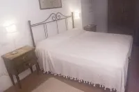 Lionforti Da Vico