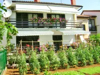 Apartments Miljenko Hotels in Fazana