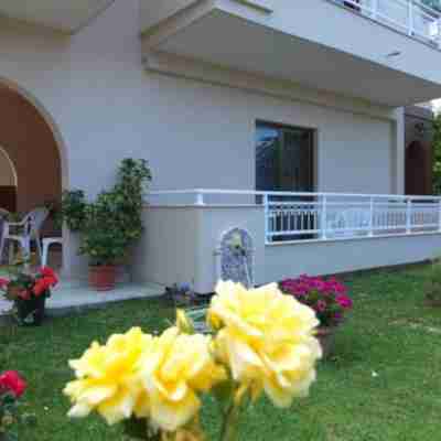 Toula's Apartments Hotel Exterior