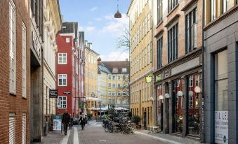 Sanders Leaves - Pleasant Four-Bedroom Apartment in Downtown Copenhagen